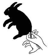 Complete Book of Hand Shadows: Instructions for Shadowgraphy (Dover Books on Magic, Games and Puzzles) - Retail Maharaj
