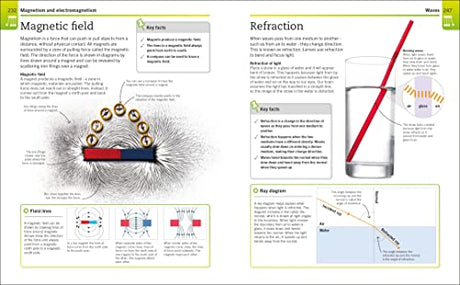 Super Simple Physics: The Ultimate Bitesize Study Guide - Retail Maharaj