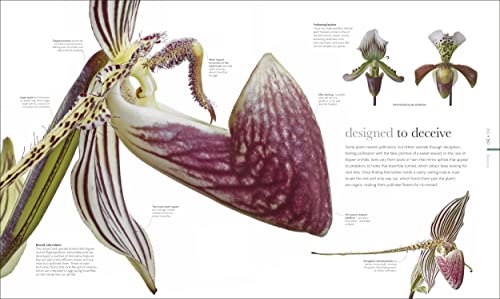 The Science of Plants: Inside their Secret World - Retail Maharaj