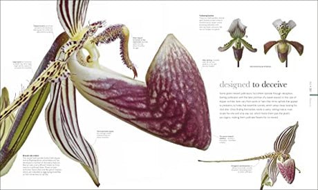 The Science of Plants: Inside their Secret World - Retail Maharaj