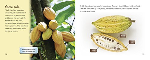 Chocolate: from Bean to Bar: Band 12/Copper (Collins Big Cat) - Retail Maharaj