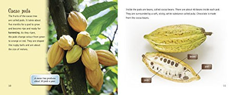 Chocolate: from Bean to Bar: Band 12/Copper (Collins Big Cat) - Retail Maharaj