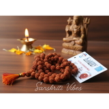 Five Mukhi Rudraksha Mala 108 Beads with Certificate for Meditation and Spiritual Healing