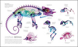The Science of Animals - Retail Maharaj