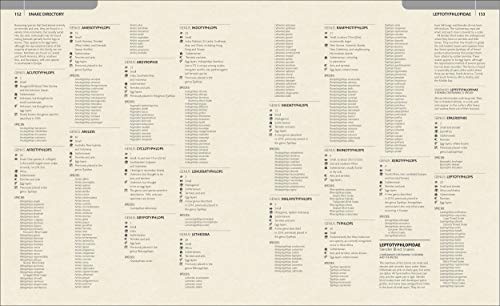 Snake: The Essential Visual Guide - Retail Maharaj