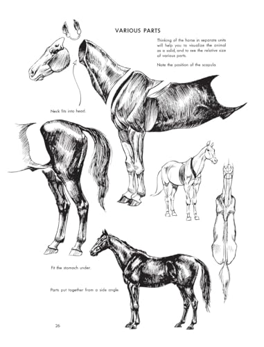 The Art of Animal Drawing: Construction, Action Analysis, Caricature - Retail Maharaj