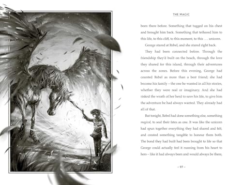 World of Skandar: The First Unicorn Rider: the must-have Christmas gift for fantasy adventure fans! - Retail Maharaj