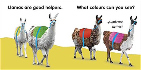 Baby Touch and Feel Llama - Retail Maharaj