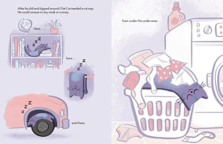 Flat Cat - Retail Maharaj