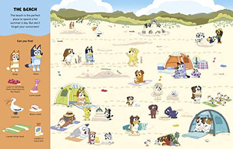 Bluey: Where's Bluey?: A Search-and-Find Book - Retail Maharaj