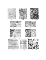 Landscape Drawing in Pencil - Retail Maharaj