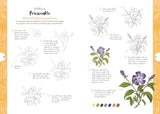 Botanicals: Draw over 50 Plants in 10 Easy Steps (10 Step Drawing) - Retail Maharaj