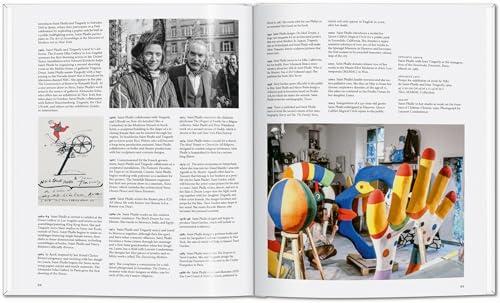 Niki De Saint Phalle (Basic Art) - Retail Maharaj