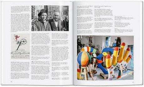 Niki De Saint Phalle (Basic Art) - Retail Maharaj