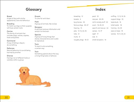 DK Super Readers Level 2 Dog Dude - Retail Maharaj