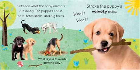 Touch and Feel Baby Animals: With Tactiles for Toddlers to Explore - Retail Maharaj