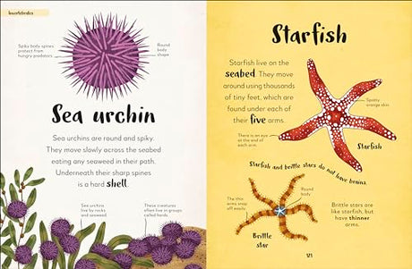 Bedtime Books: A Lovable Introduction to Animals and Dinosaurs - Retail Maharaj