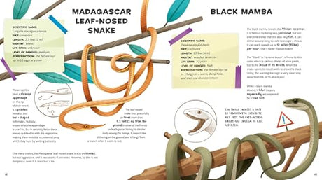 The Amazing Catalog of Weirdest Reptiles - Retail Maharaj