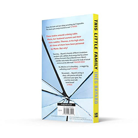 This Little Family: The most gripping, shocking, dark, thought-provoking feminist fiction for 2021 - Retail Maharaj