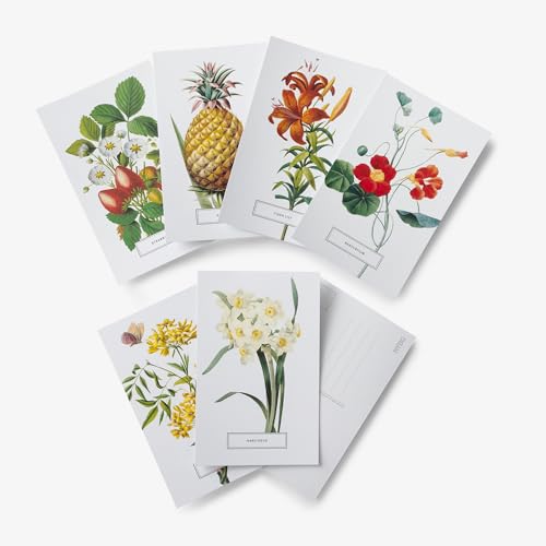 New York Botanical Garden: In Full Bloom Postcards: 100 Postcards from the Archives of the New York Botanical Garden - Retail Maharaj