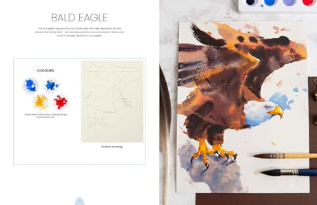 Simply Paint Birds: A Complete Watercolour Course for Beginners - Retail Maharaj