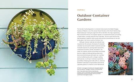 Striking Succulent Gardens: Plants and Plans for Designing Your Low-Maintenance Landscape [A Gardening Book] - Retail Maharaj