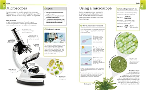 Biology: The Ultimate Bitesize Study Gui - Retail Maharaj