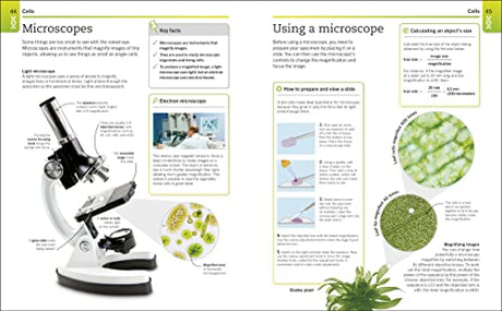 Biology: The Ultimate Bitesize Study Gui - Retail Maharaj