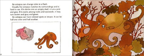 Octopus Is Amazing (Let's-Read-and-Find-Out Science 2) - Retail Maharaj