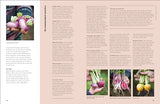 The Seed Hunter: Discover the World's Most Unusual Heirloom Plants - Retail Maharaj