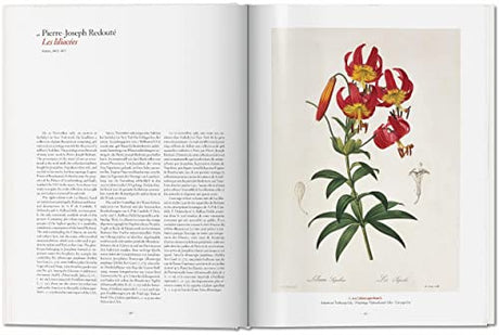 Garden Eden. Masterpieces of Botanical Illustration: Ile de France, Haute-Normandie, Picardie - Retail Maharaj