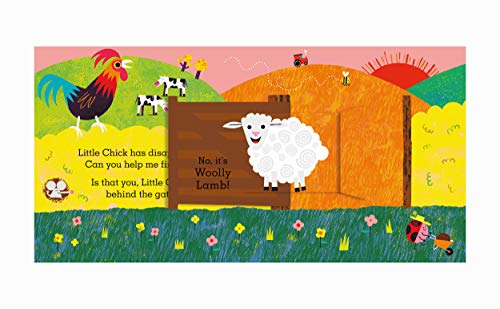 Is that you, Little Chick?: A pull-and-slide flap book - Retail Maharaj