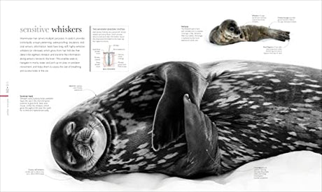 The Science of the Ocean: The Secrets of the Seas Revealed - Retail Maharaj