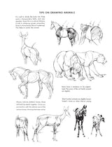 The Art of Animal Drawing: Construction, Action Analysis, Caricature - Retail Maharaj
