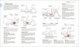 Science of HIIT: Understand the Anatomy and Physiology to Transform Your Body - Retail Maharaj