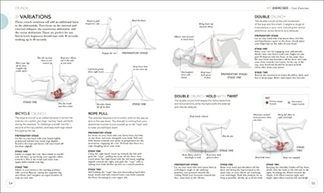Science of HIIT: Understand the Anatomy and Physiology to Transform Your Body - Retail Maharaj
