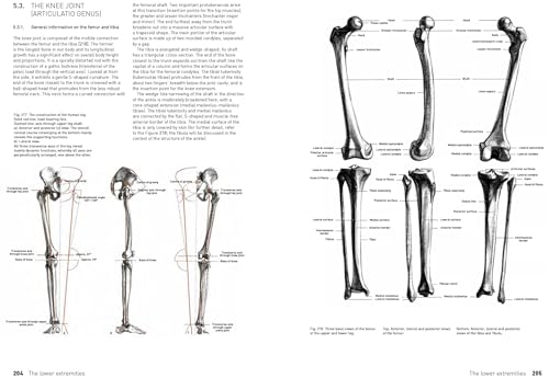 The Complete Guide to Anatomy for Artists & Illustrators: Drawing the Human Form - Retail Maharaj