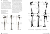 The Complete Guide to Anatomy for Artists & Illustrators: Drawing the Human Form - Retail Maharaj