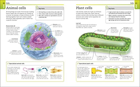 Biology: The Ultimate Bitesize Study Gui - Retail Maharaj