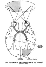 Introduction to Artificial Intelligence: Third Edition (Dover Books on Computer Science) - Retail Maharaj