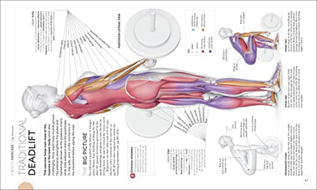 Science of Strength Training: Understand the Anatomy and Physiology to Transform Your Body - Retail Maharaj
