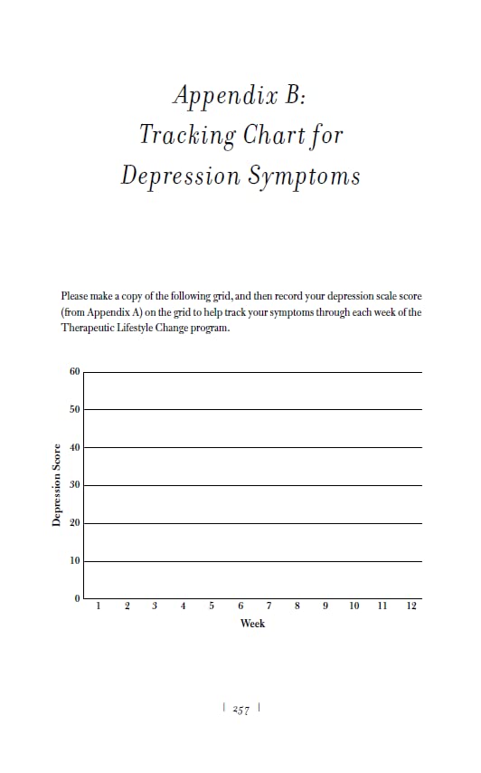 The Depression Cure: The Six-Step Programme to Beat Depression Without Drugs - Retail Maharaj