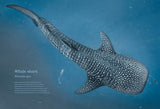 Water World: A stunning deep dive into our great oceans and the wonders beneath the waves - Retail Maharaj