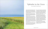 The Gardens of the Hamptons - Retail Maharaj