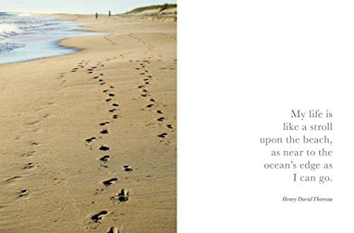 Seaside Inspirations - Retail Maharaj