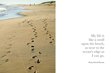 Seaside Inspirations - Retail Maharaj