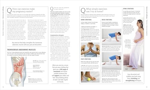 The Pregnancy Encyclopedia: All Your Questions Answered - Retail Maharaj