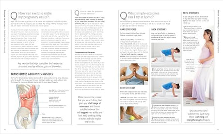 The Pregnancy Encyclopedia: All Your Questions Answered - Retail Maharaj