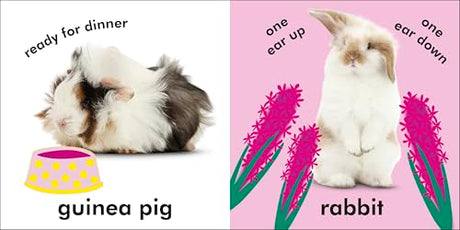 Baby Touch and Feel Fluffy Animals - Retail Maharaj