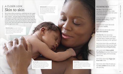 The Pregnancy Encyclopedia: All Your Questions Answered - Retail Maharaj